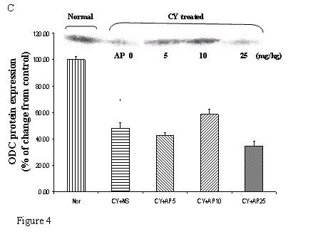 Int J Med Sci Image