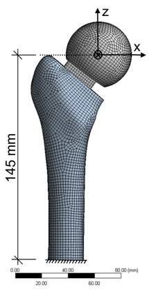 Int J Med Sci Image