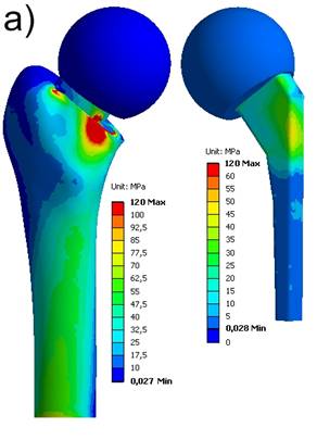 Int J Med Sci Image