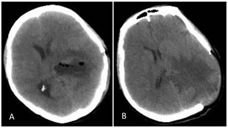 Int J Med Sci Image