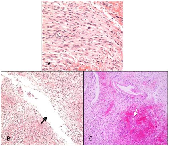 Int J Med Sci Image