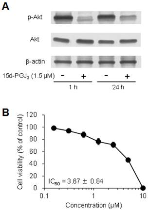 Int J Med Sci Image