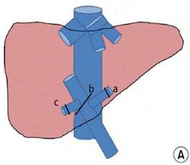 Int J Med Sci Image