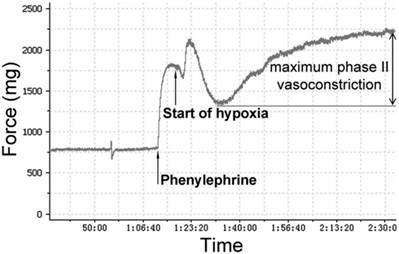 Int J Med Sci Image