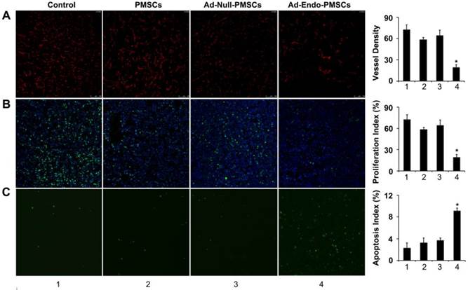 Int J Med Sci Image