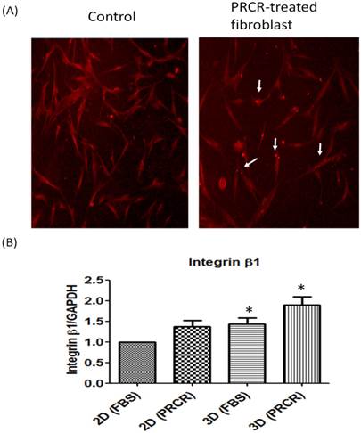 Int J Med Sci Image