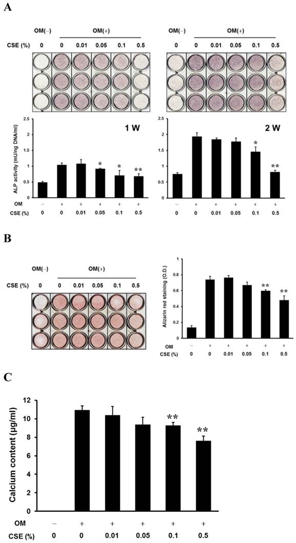 Int J Med Sci Image