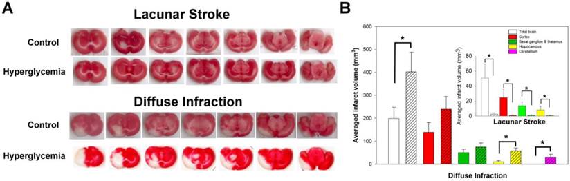 Int J Med Sci Image