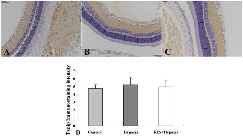 Int J Med Sci Image