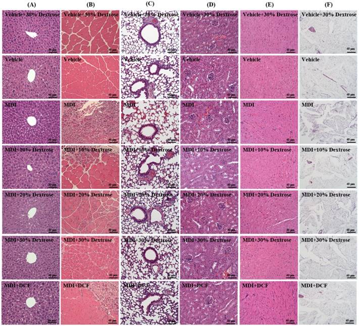 Int J Med Sci Image