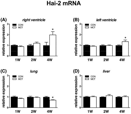 Int J Med Sci Image