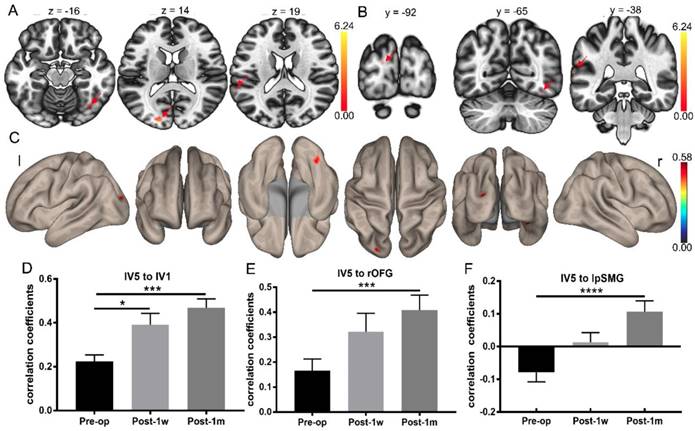 Int J Med Sci Image