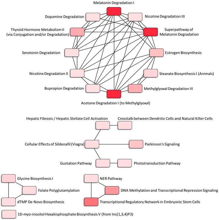 Int J Med Sci Image