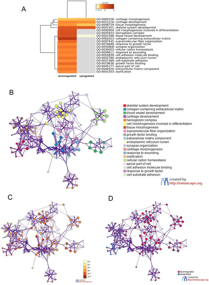 Int J Med Sci Image