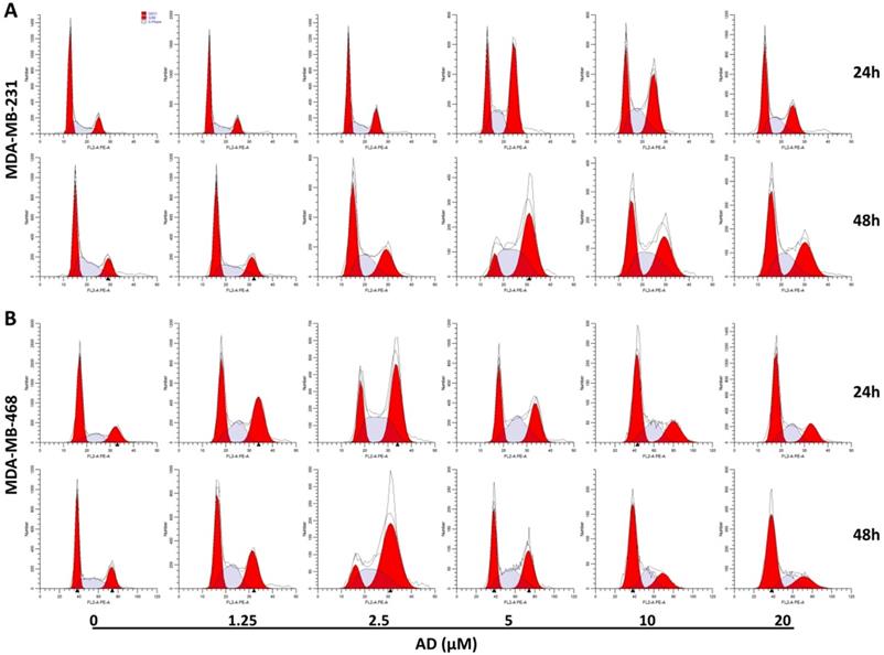 MC0704 is a STAT3 Inhibitor for Triple-negative Breast Cancer Research