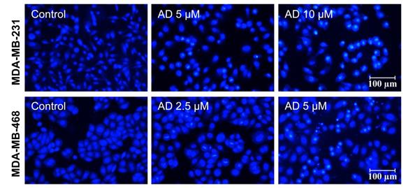 Int J Med Sci Image