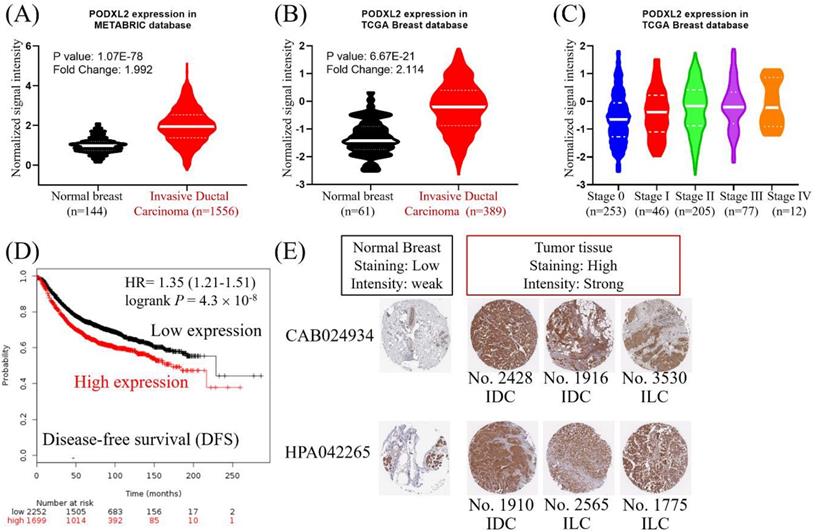 Int J Med Sci Image