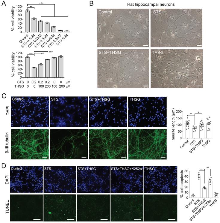 Int J Med Sci Image