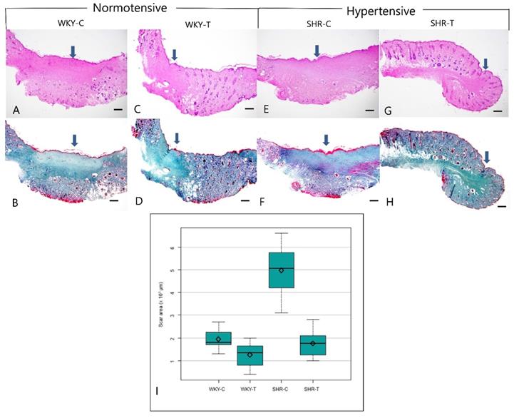 Int J Med Sci Image