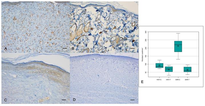 Int J Med Sci Image