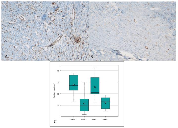 Int J Med Sci Image