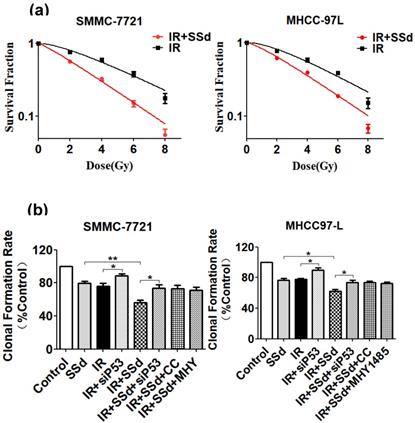Int J Med Sci Image
