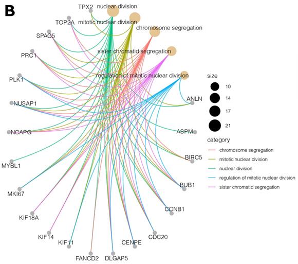 Int J Med Sci Image