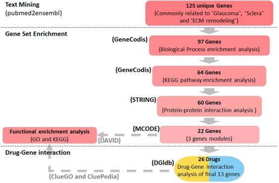 Int J Med Sci Image