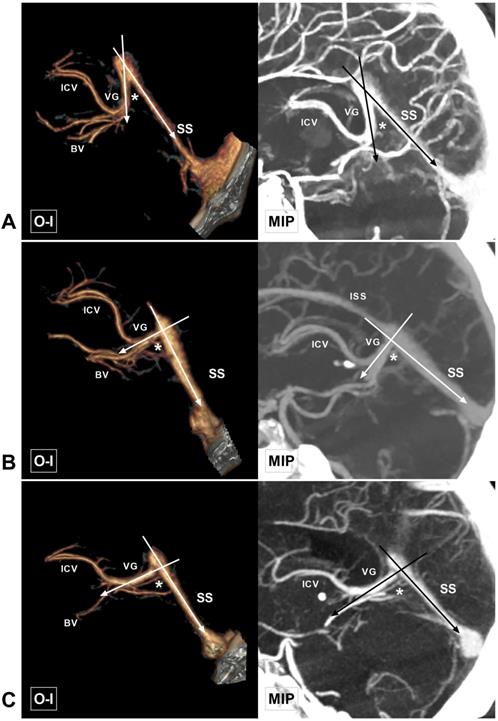 Int J Med Sci Image