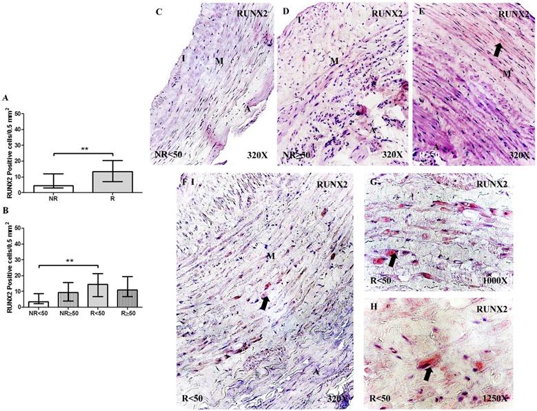 Int J Med Sci Image