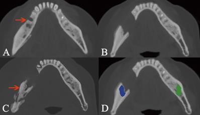 Int J Med Sci Image