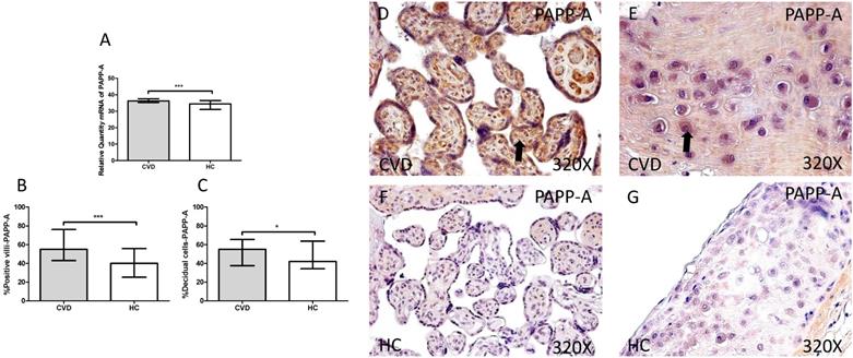 Int J Med Sci Image