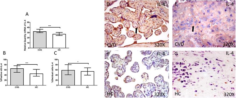 Int J Med Sci Image