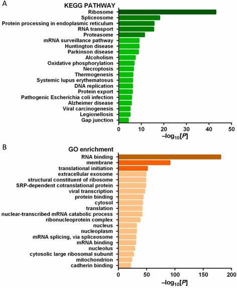 Int J Med Sci Image