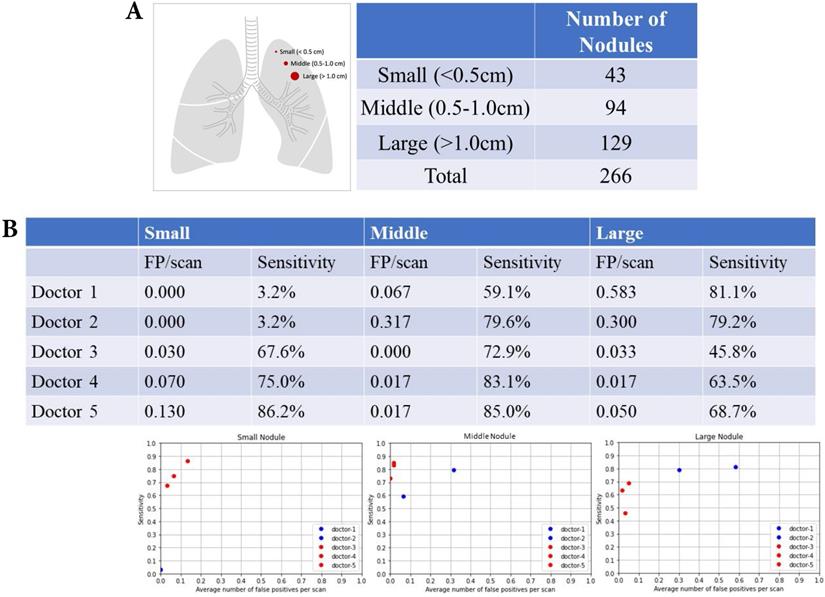 9mm Lung Nodule Size Chart