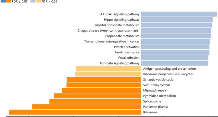 Int J Med Sci Image