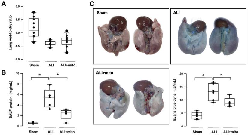 Int J Med Sci Image