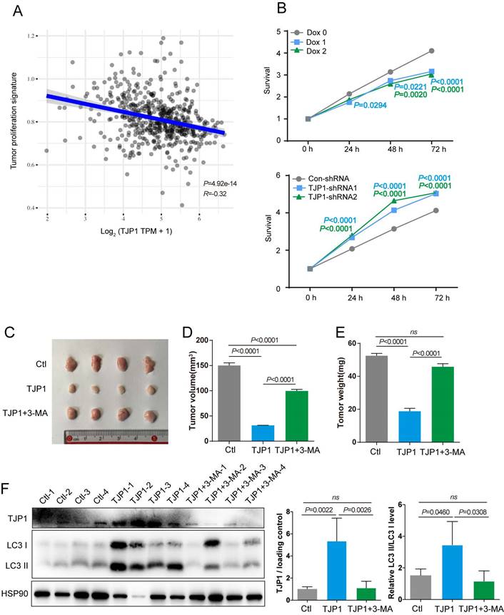 Int J Med Sci Image