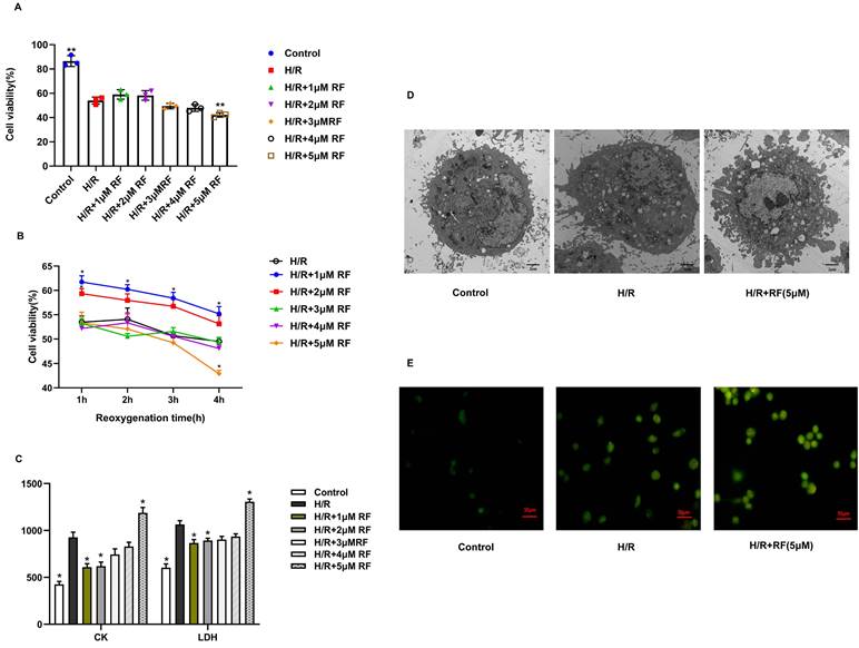 Int J Med Sci Image