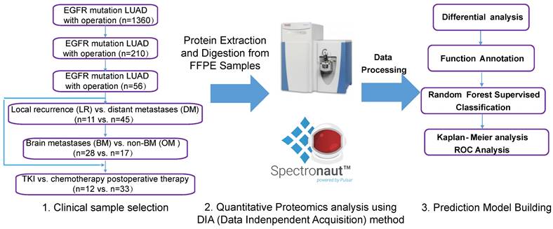 Int J Med Sci Image