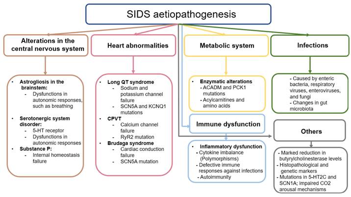 Int J Med Sci Image
