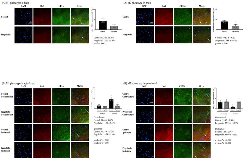 Int J Med Sci Image