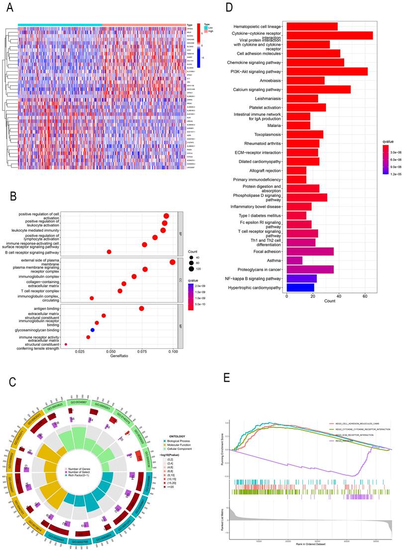 Int J Med Sci Image