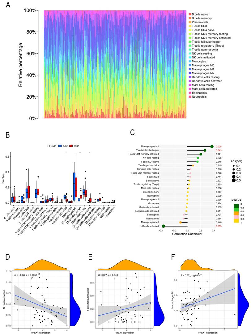 Int J Med Sci Image