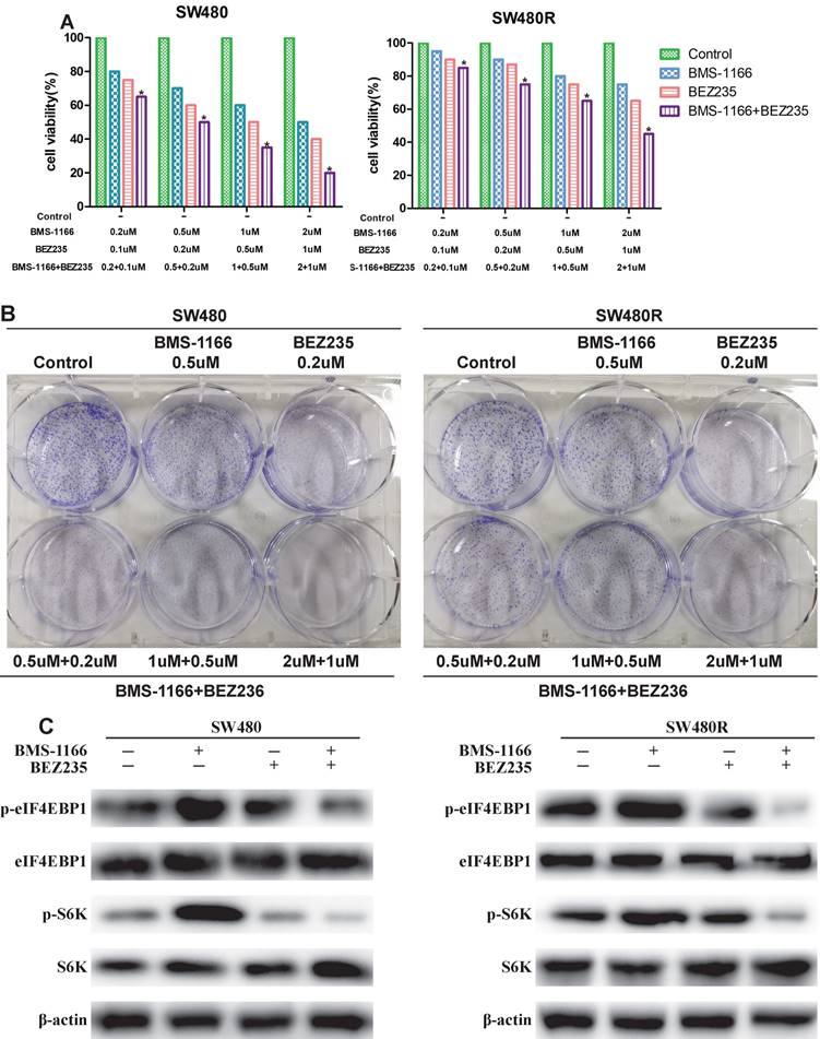 Int J Med Sci Image