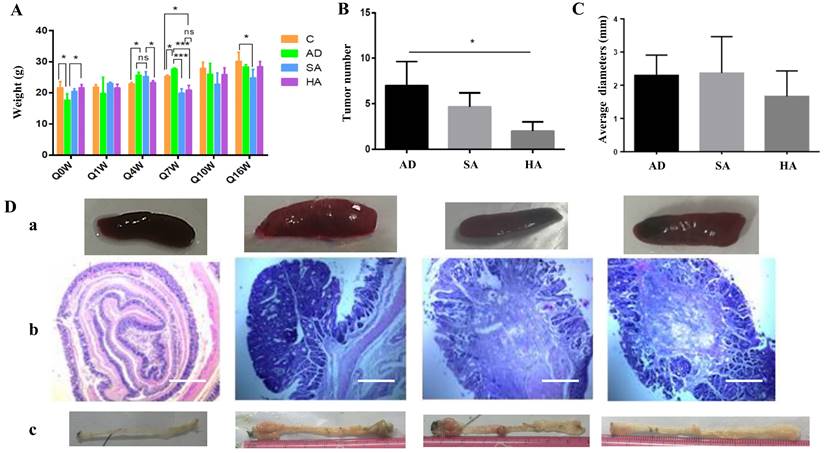 Int J Med Sci Image