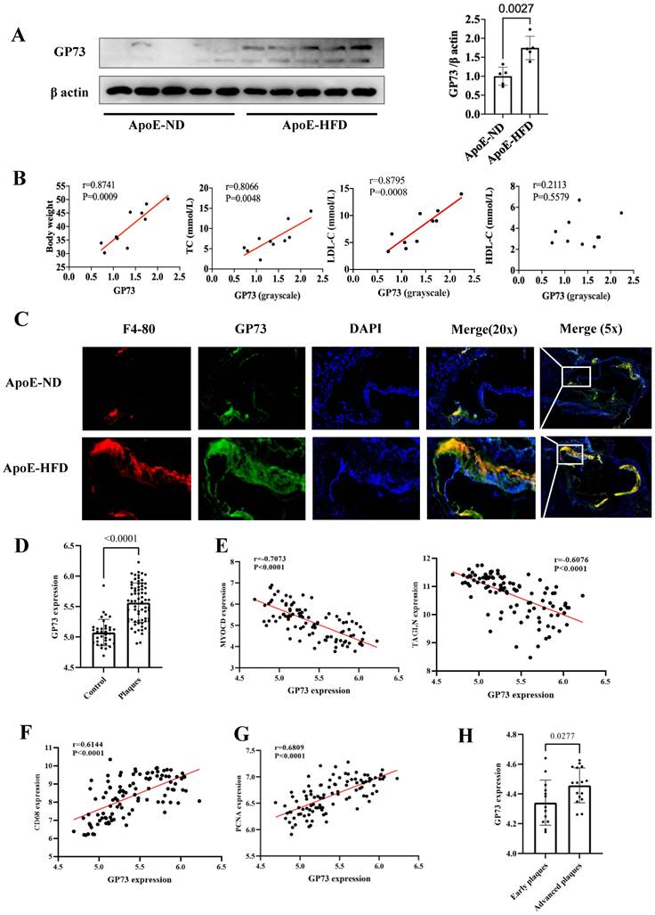 Int J Med Sci Image