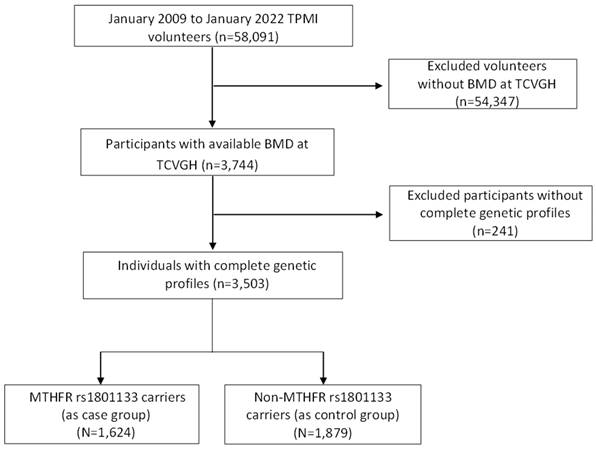 Int J Med Sci Image