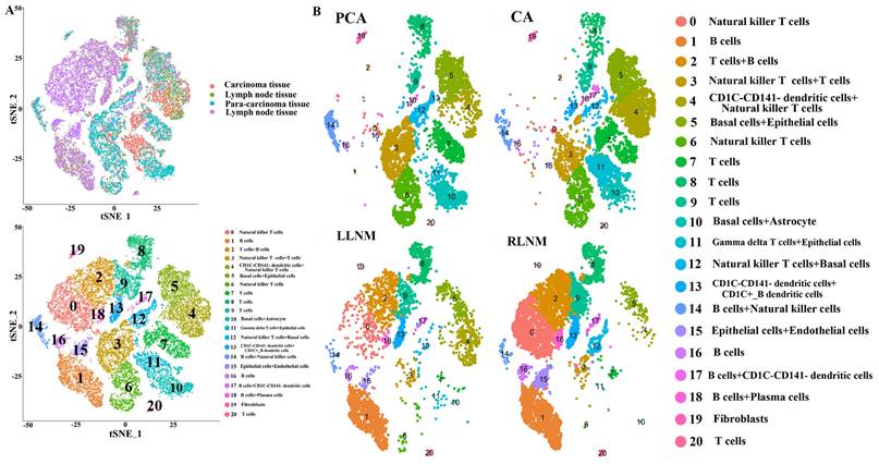 Int J Med Sci Image