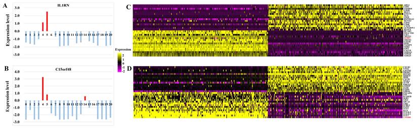 Int J Med Sci Image